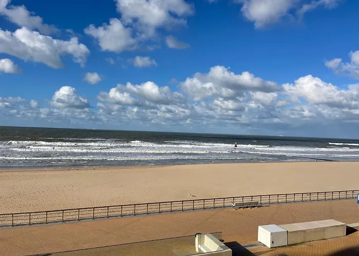 C The C - 奥斯滕德